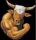 El Toro